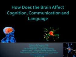 Dr. DePompei–How does brain injury affect cognition, communication, and ...